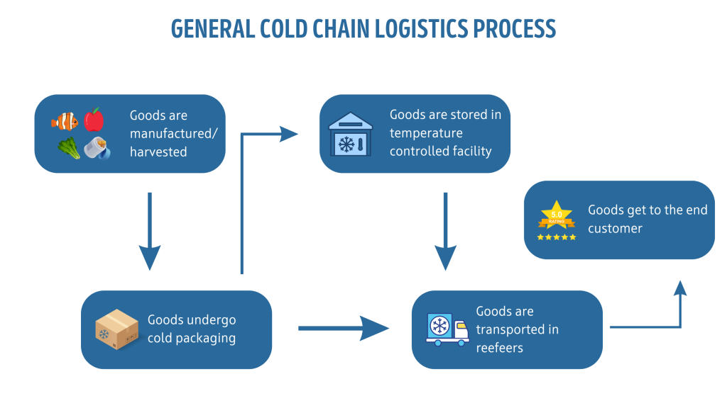 Cold Chain logistics process